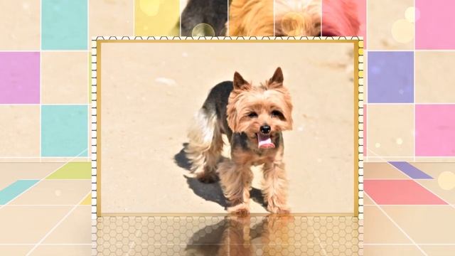 Urlaub In Andalusien 🗺️  Buchten Von Maro Nach La Herradura  | Costa Tropical #1 HD