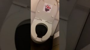 В самолёте застрял в туалете!!!