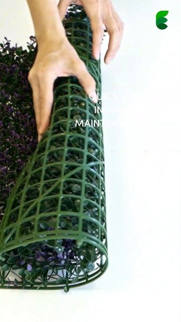 Classic Series: Purple Buxus смотреть онлайн