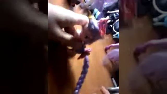 Лошадь смотреть онлайн