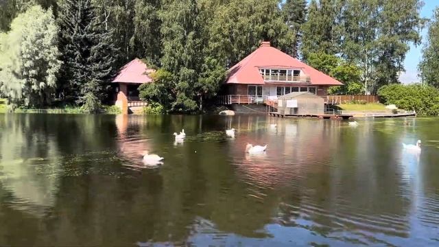 2023 Питер Август смотреть онлайн