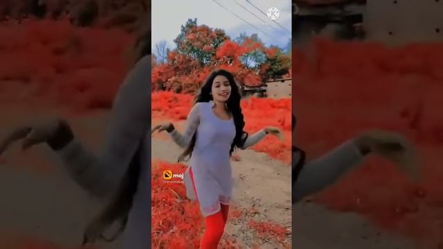 pata pindha rani tu habulo mora#newodiavideo#sortbymkj смотреть онлайн