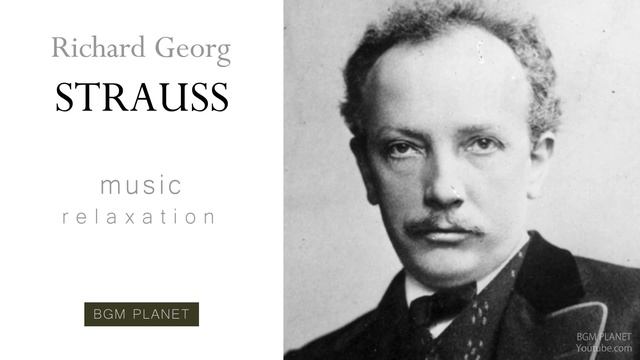 シュトラウス,リヒャルト 死と変容(交響詩) Op.24 2 生と死の闘い クラシック 作業用BGM смотреть онлайн