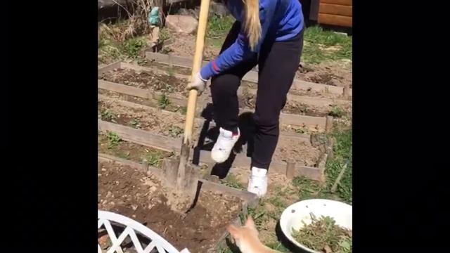 Как заработать на мечту смотреть онлайн