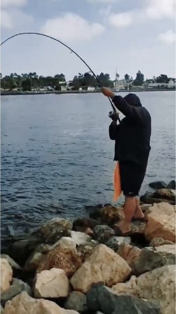 Halibut 🎣🎣🎣 смотреть онлайн