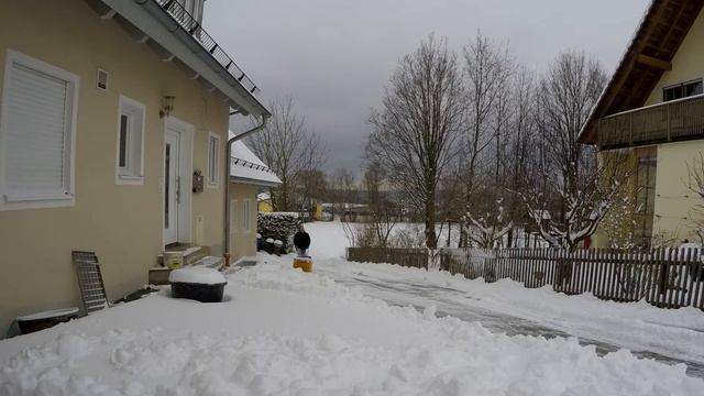 Schnee 2018 смотреть онлайн