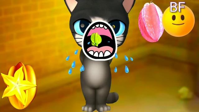 Billu Talking Tom Eating Carambola Star Fruit Funny Comedy Video 🤣🤩 @mkbillu смотреть онлайн