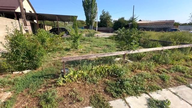 кому что а МАМЕ с утра копаю ЕГО корень