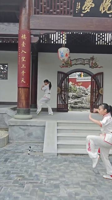 Боевые искуства Китая (150) смотреть онлайн