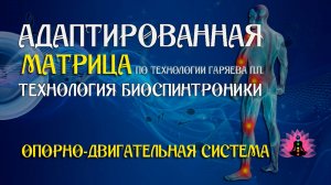 Опорно-двигательная система 🎶 программа матрица по технологии Гаряева П.П ☀️ SoftRadio.ru