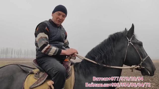 Кок-артка сатылып кетти смотреть онлайн