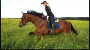 Лето с Пасификой 2023