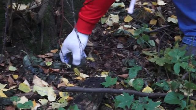 Плоггинг в Томилинском лесопарке. смотреть онлайн