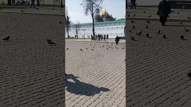 У преподобного Сергия Радонежского! смотреть онлайн