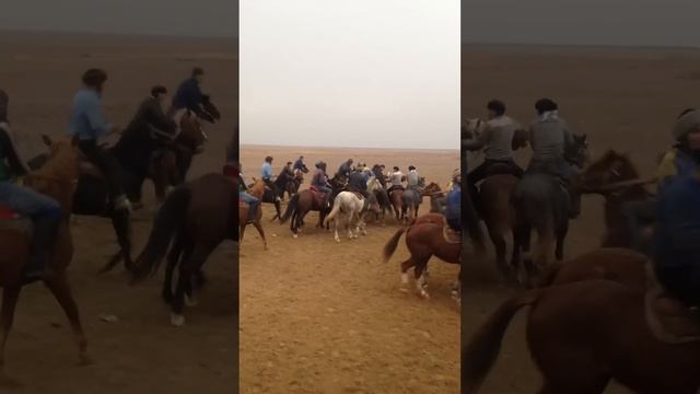 Шаульдер Бата Кокпар Акыргы Салым