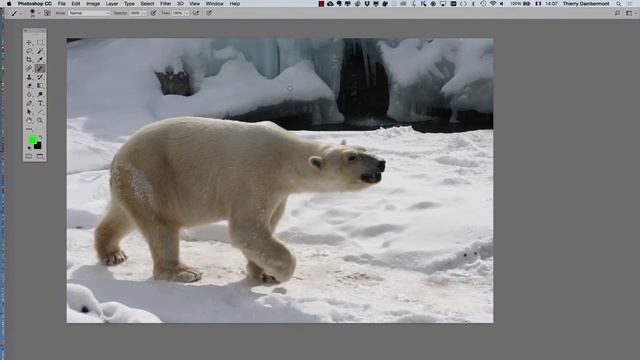 Wolf and horses fictitious magazine article part 25 Learning Adobe InDesign 2017 by example смотреть онлайн