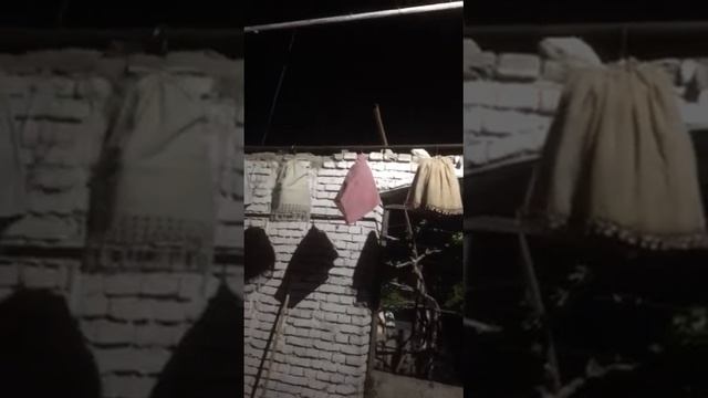 Бедана Игкивозлари Учун Сотиладигон Беданалар