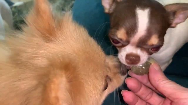 После уборки всегда много игрушек находим.