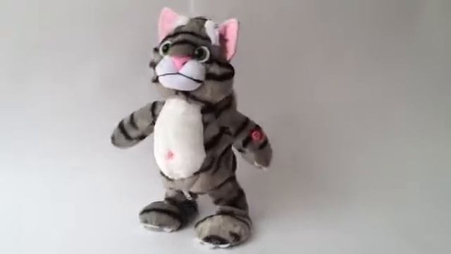 Говорящий Кот (как Говорящий Хомяк). talkcat.ru смотреть онлайн