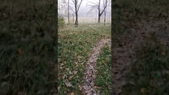 Доброе утро. Общага. Жилетово 02.10.2021 смотреть онлайн