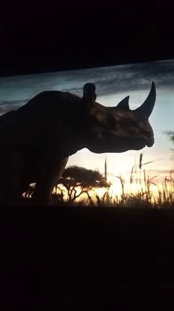 Rey león. Live action 2019 смотреть онлайн