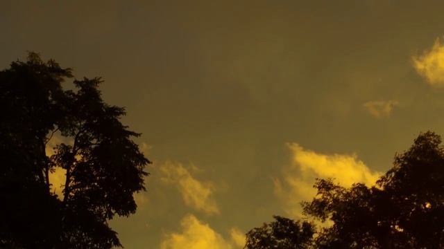 Дождь сквозь солнце на закате. Лето, море... смотреть онлайн