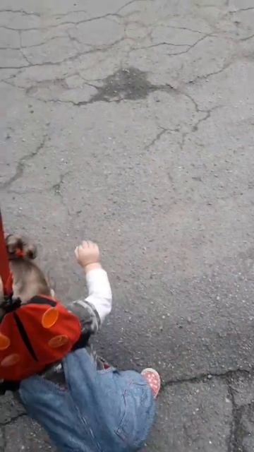 Рюкзак с поводком смотреть онлайн