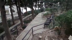 Санаторий "Ай-Петри". Кореиз. Крым.