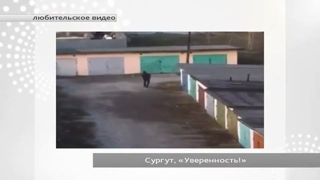 Югра в социальных сетях смотреть онлайн