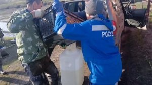 запускаем малька карпа в садок