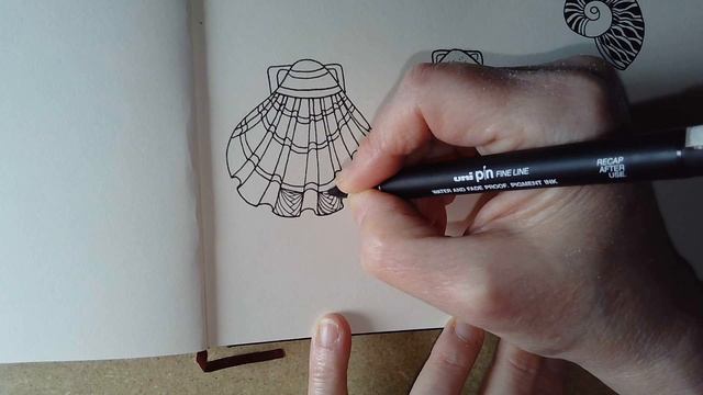 Draw With Me | Drawing whimsical, stylised sea shells from a reference image No. 1 смотреть онлайн