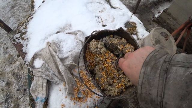 ОБЗОР НУТИЙ!  ВЕСНОЙ ВСЕХ В СВОЙ ПРУД,на ВОЛЮ!