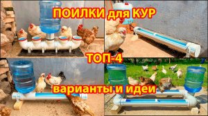 Поилки для кур ТОП-4 варианта из труб и 20 л бутылей