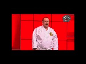 Золотой пояс - 2015. Выступление Федерации Окинава Годзю-рю Каратэ-до России.