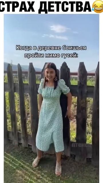 Когда боишься гусей смотреть онлайн