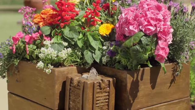 Bernini Garden Self-Watering Planter with Fountain on QVC смотреть онлайн