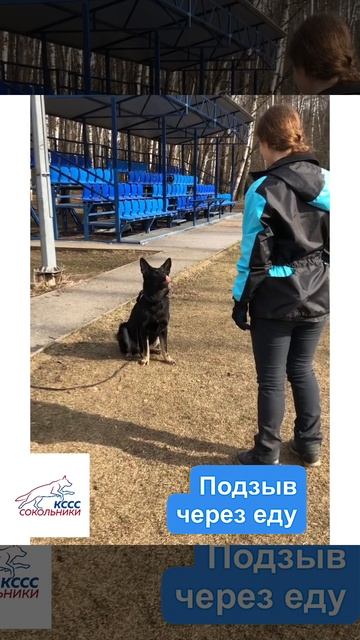 Подзыв через еду смотреть онлайн