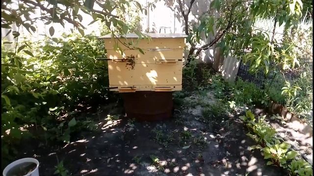 Активный лёт