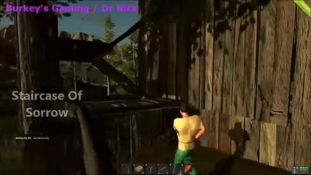 Rust trolling (Burkey/Dr.nick) смотреть онлайн
