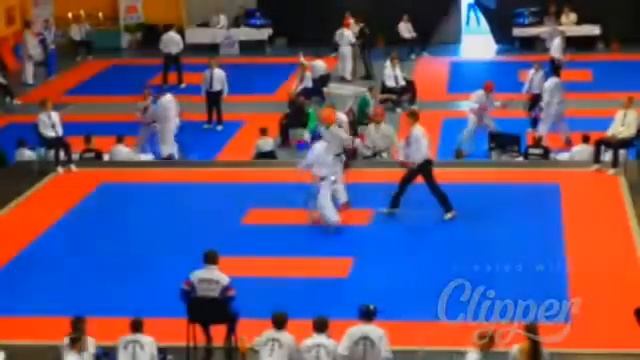 VI Euro cup Taekwon-Do ITF 2014 смотреть онлайн