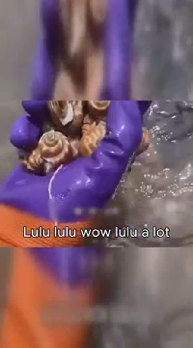 Морская рыбалка Сяо Чжан! Рыбачка ловит гигантских морских змей в прибрежных водах! смотреть онлайн