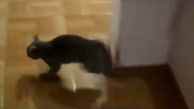 Выходные;) смотреть онлайн