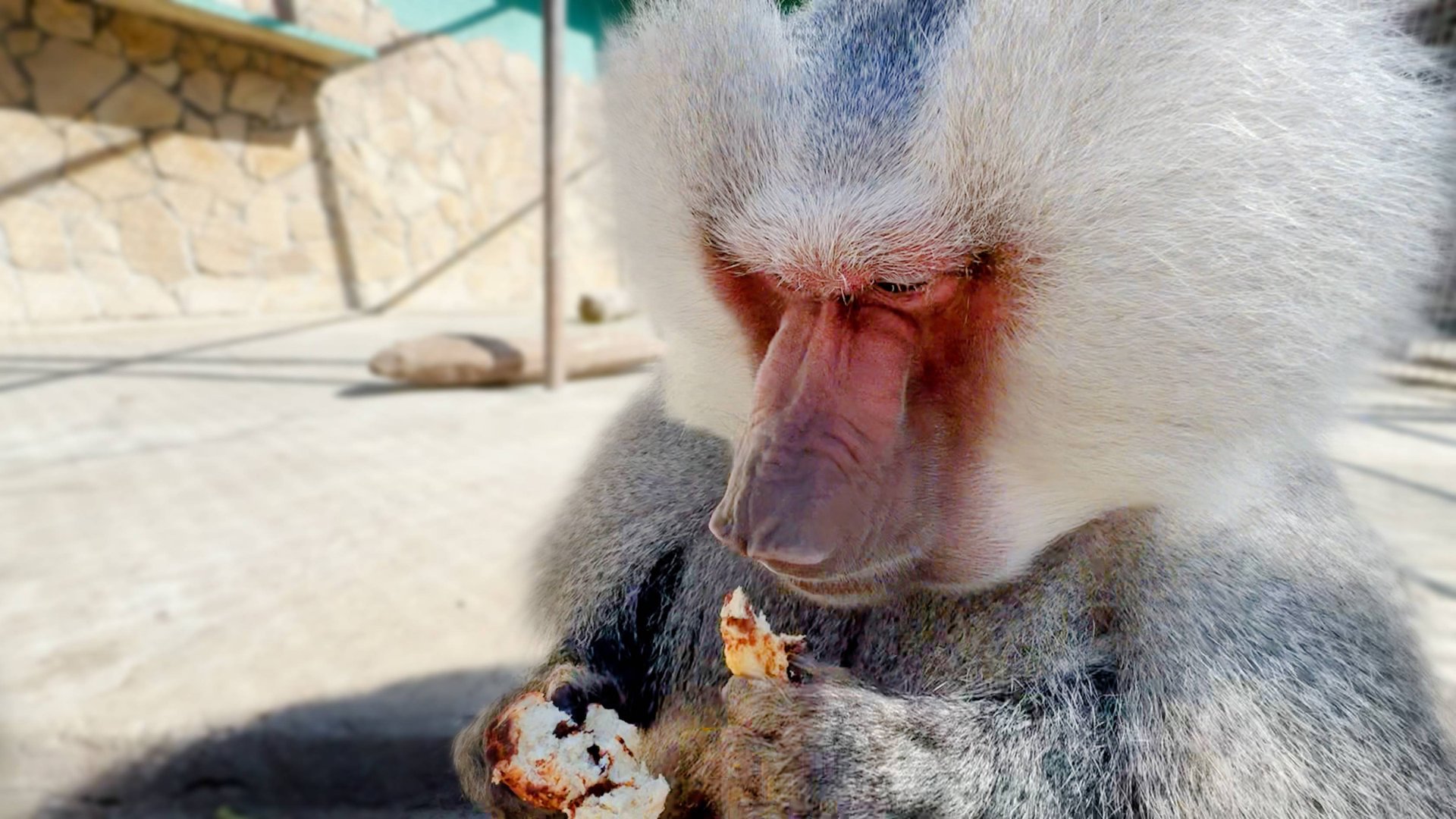 Елисей всегда странно ест))) Такого меткого броска вы еще не видели! И СНОВА - где Джоник и Лейла смотреть онлайн