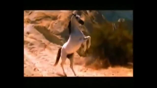 Ну очень красивая музыка для души! 1 mp4 смотреть онлайн
