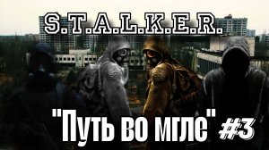 ☢️S.T.A.L.K.E.R.☢️ - «Путь во мгле» (Прохождение - Часть 3)