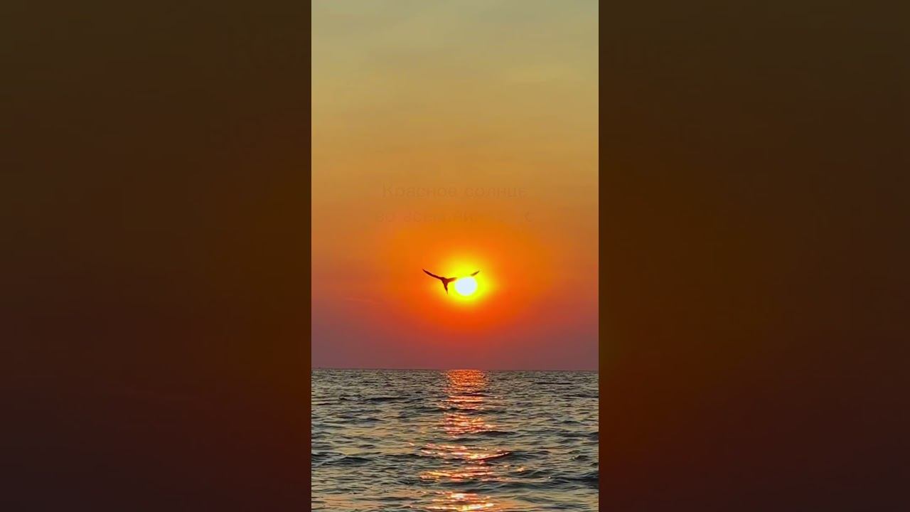 ÀNKA - Красное солнце | Snippet