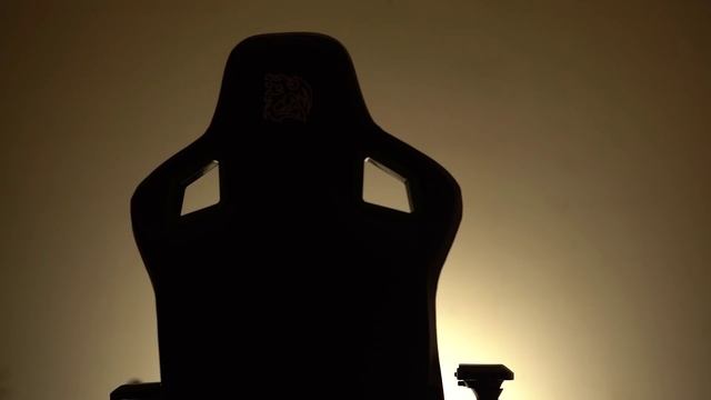 Team GodLike 5th Player Reveal смотреть онлайн