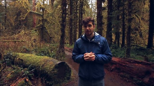 Olympic National Park Road Trip смотреть онлайн