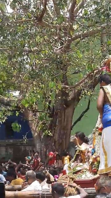 அழகர் சேஷ வாகனத்தில் வண்டியூர் மண்டபத்தில் வரும் காட்சி பகுதி 1 смотреть онлайн