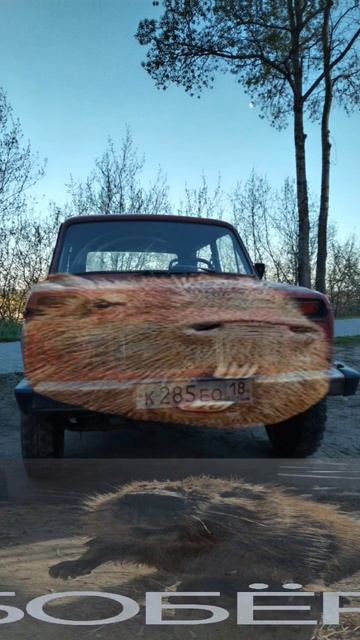 Апвппа, бобер. Наш тгк по ссылке в профиле! #automobile #bobr #car